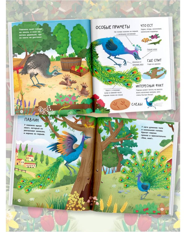 Животные на ферме