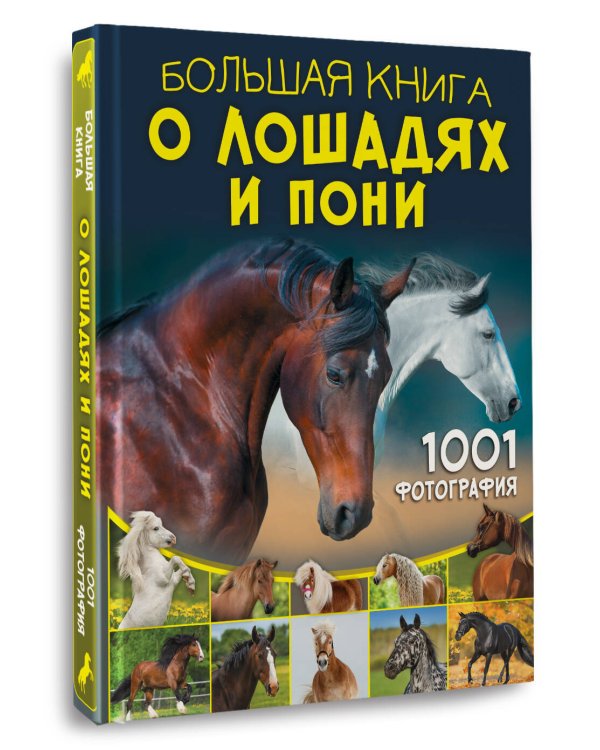 Большая книга о лошадях и пони. 1001 фотография