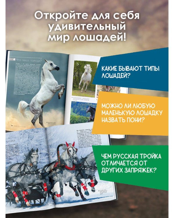 Большая книга о лошадях и пони. 1001 фотография