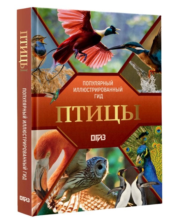 Птицы. Иллюстрированный гид