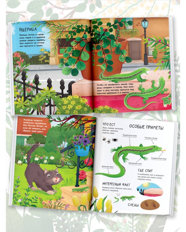 Городские животные