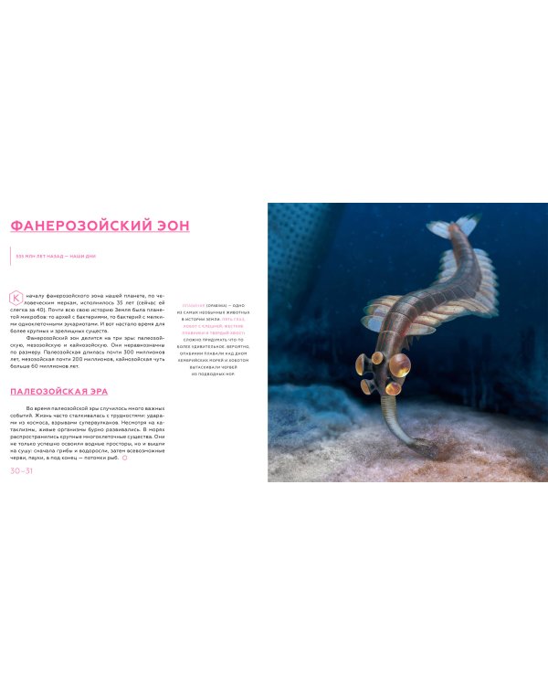 История Земли: от звездной пыли к звездной пыли