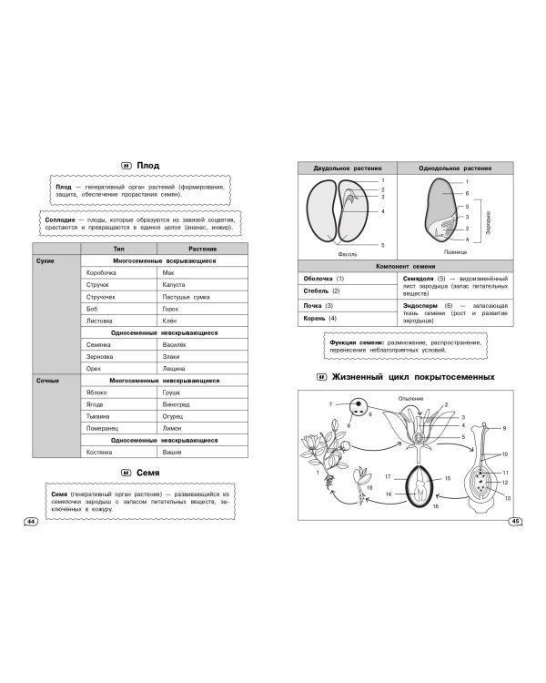 Биология (+ обучающие видео)