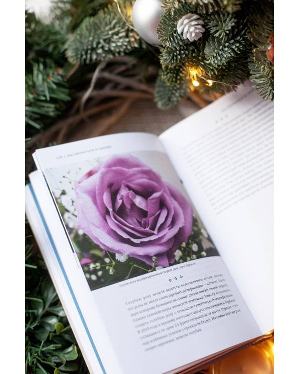 Код цвета. Небесный голубой, газетный желтый, королевский фиолетовый и другие оттенки в культурной истории цвета