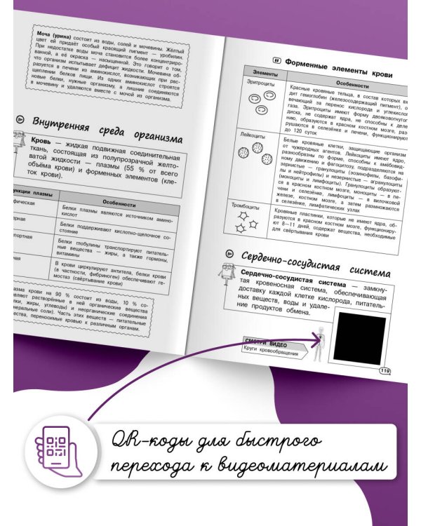 Биология (+ обучающие видео)