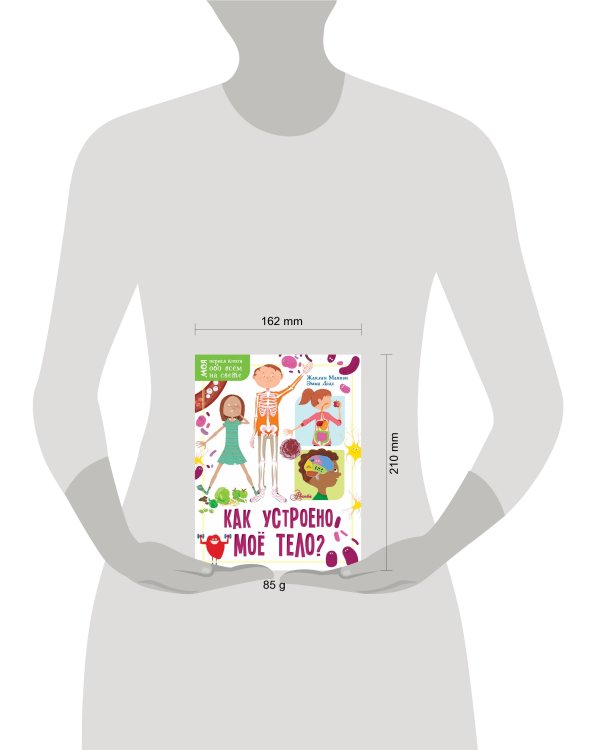 Как устроено моё тело?