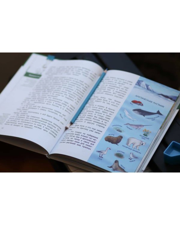 Наша страна Россия. Детская энциклопедия