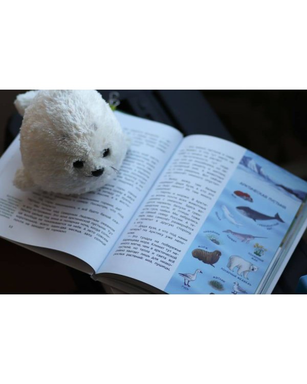 Наша страна Россия. Детская энциклопедия