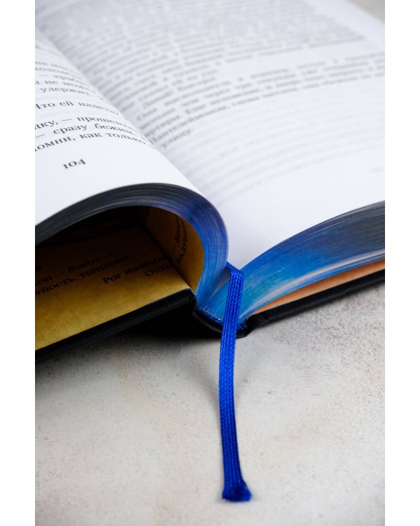 Темные начала. Книга 1. Северное сияние