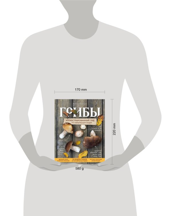 Грибы. Иллюстрированный гид по популярным видам