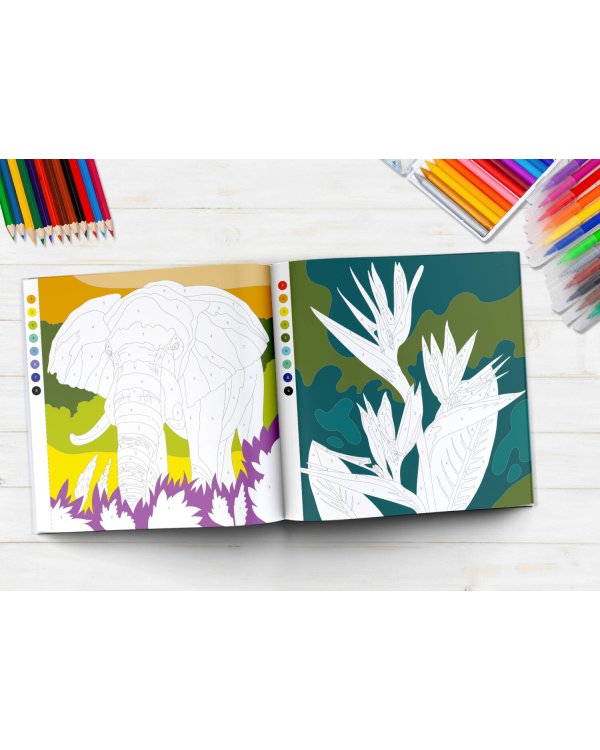 Coloristic Цветовой квест по номерам