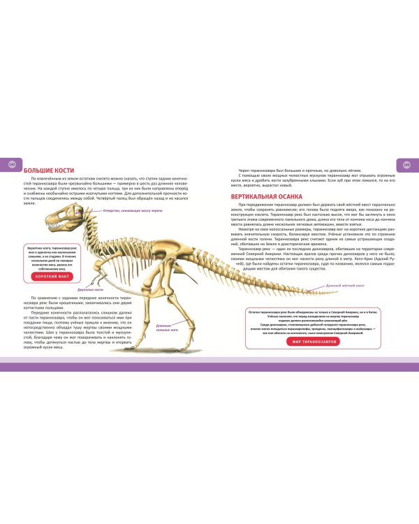 Динозавры. Полная энциклопедия