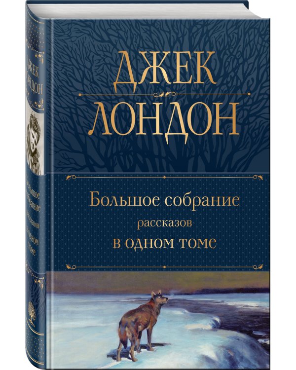 Большое собрание рассказов в одном томе