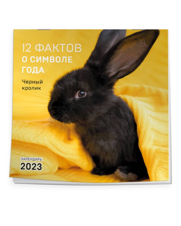 12 фактов о символе года. Черный кролик. Календарь настенный на 2023 год (300х300)