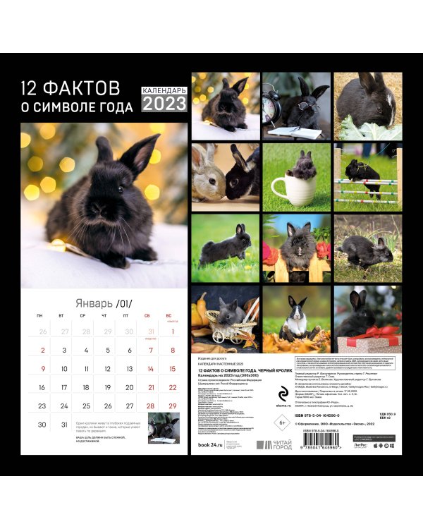 12 фактов о символе года. Черный кролик. Календарь настенный на 2023 год (300х300)