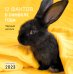 12 фактов о символе года. Черный кролик. Календарь настенный на 2023 год (300х300)