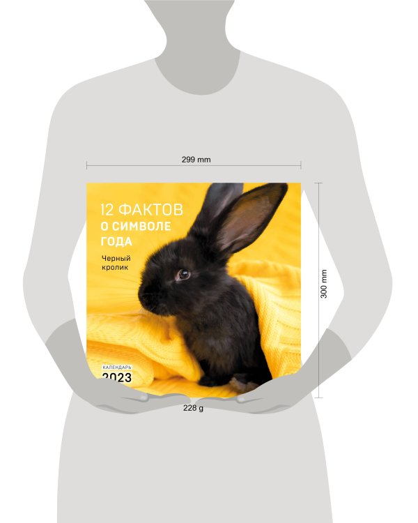 12 фактов о символе года. Черный кролик. Календарь настенный на 2023 год (300х300)