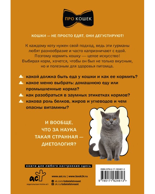 Чем и как кормить кошку, чтобы не навредить