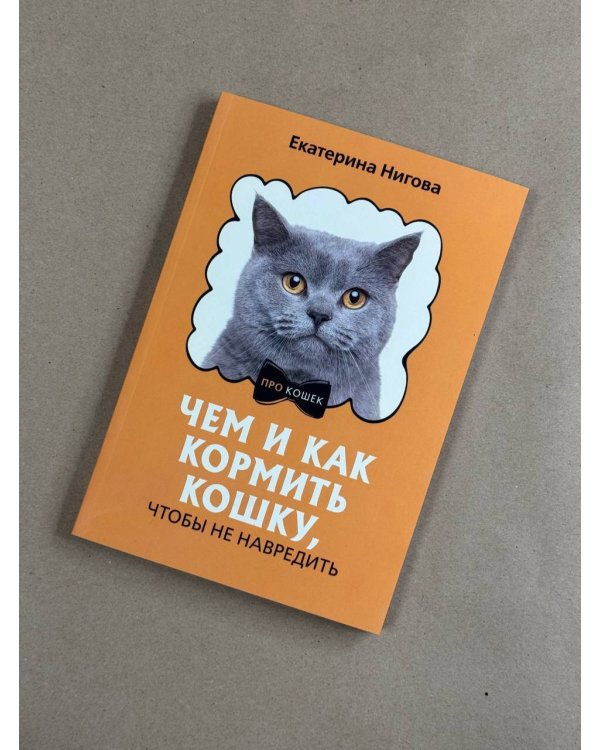 Чем и как кормить кошку, чтобы не навредить