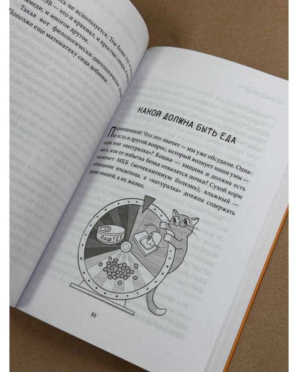 Чем и как кормить кошку, чтобы не навредить