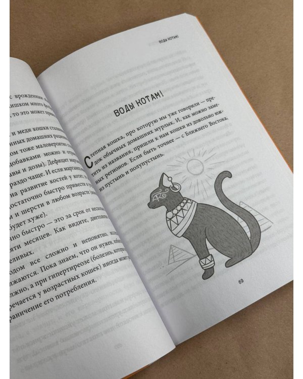 Чем и как кормить кошку, чтобы не навредить