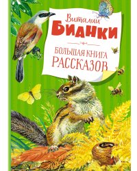 Большая книга рассказов (новое оформление)