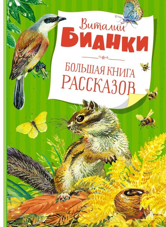 Большая книга рассказов (новое оформление)