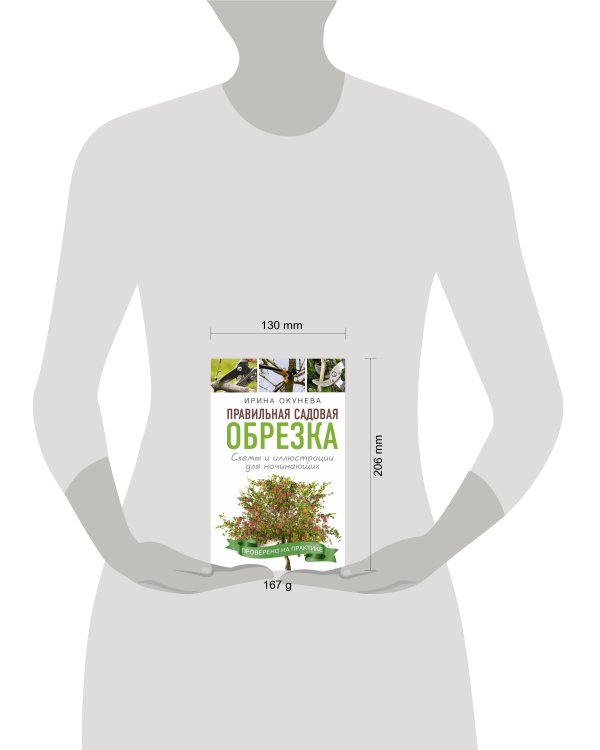 Правильная садовая обрезка. Схемы и иллюстрации для начинающих