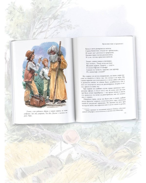 Приключения Гекльберри Финна