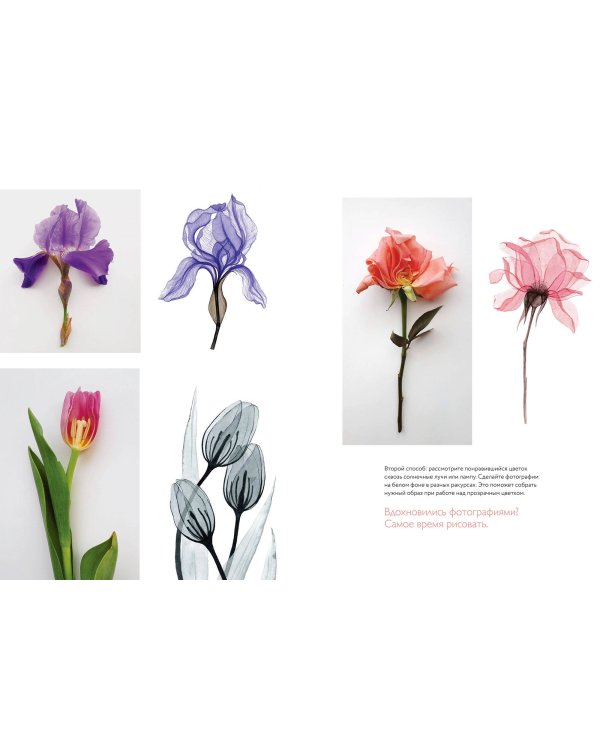 Прозрачные цветы акварелью. Рисуем в технике "рентген"