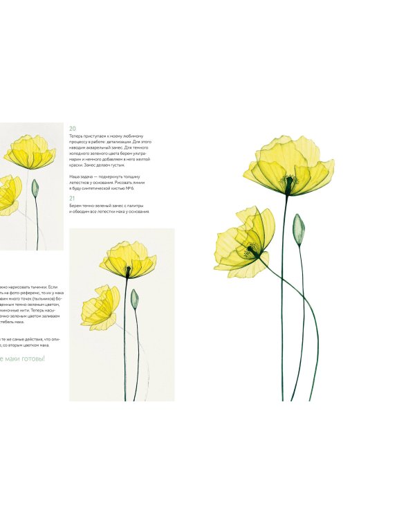 Прозрачные цветы акварелью. Рисуем в технике "рентген"