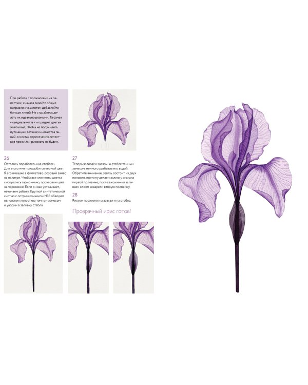 Прозрачные цветы акварелью. Рисуем в технике "рентген"