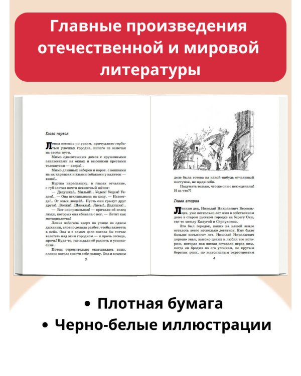 Чучело (ил. В. Гальдяева)