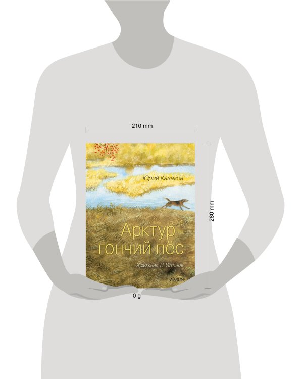 Арктур - гончий пёс. Рис. Н. Устинова