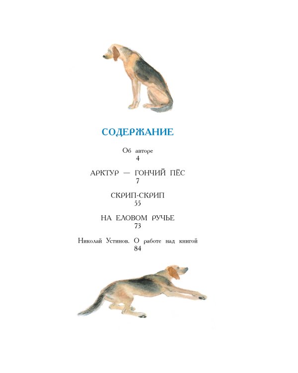Арктур - гончий пёс. Рис. Н. Устинова