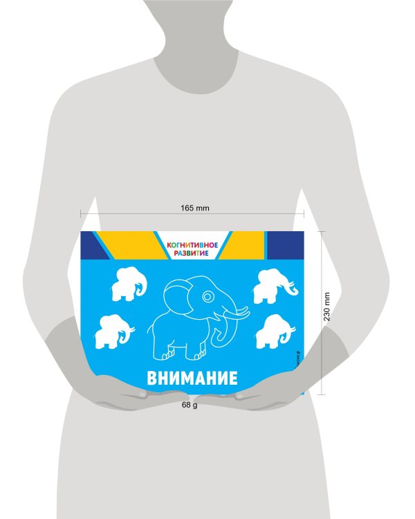 Внимание. Когнитивное развитие