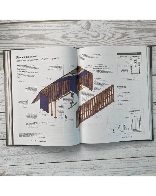 Библия в инфографике