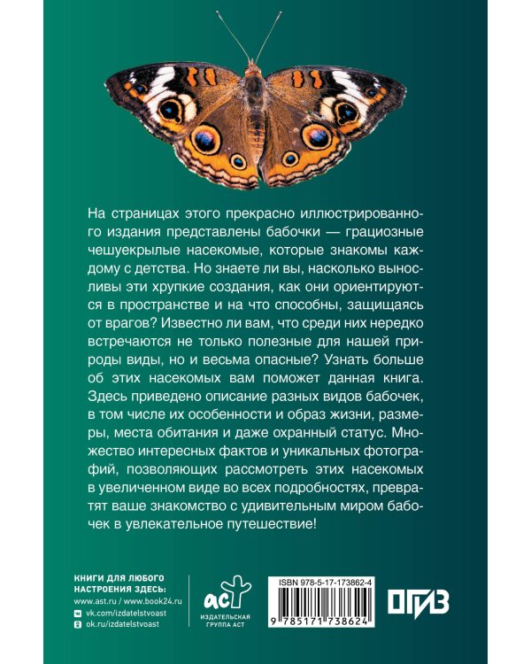 Бабочки. Иллюстрированный гид