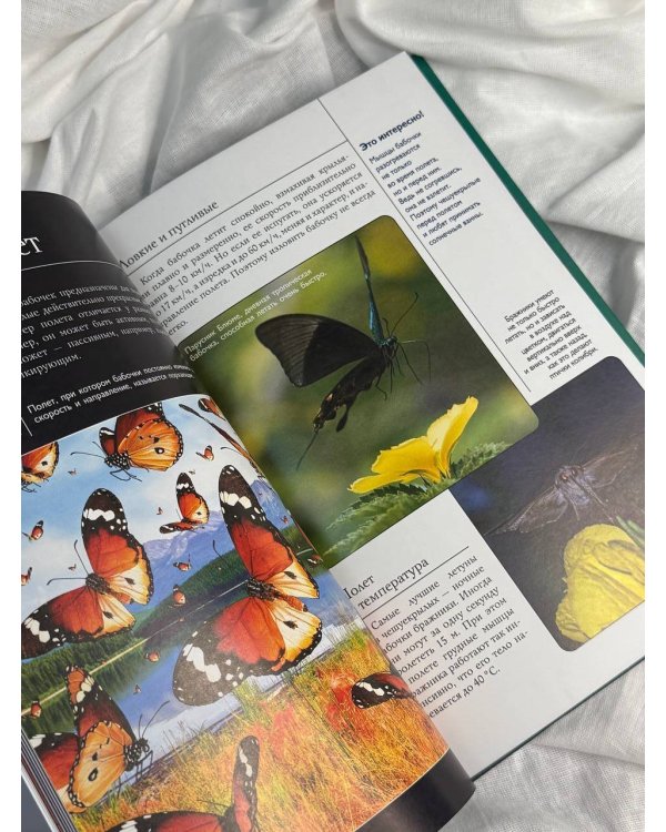 Бабочки. Иллюстрированный гид