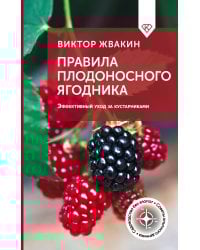 Правила плодоносного ягодника. Эффективный уход за кустарниками