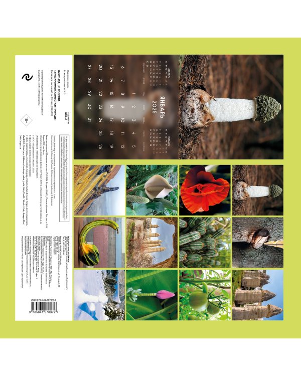 Ни стыда, ни совести. 12 нескромных символов природы. Календарь настенный на 2025 год (300х300 мм)