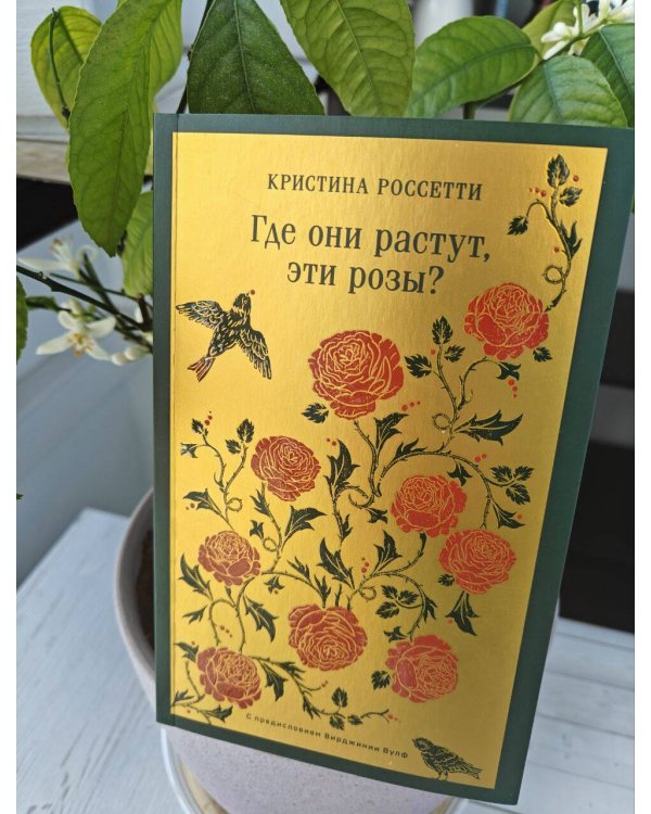 Где они растут, эти розы?