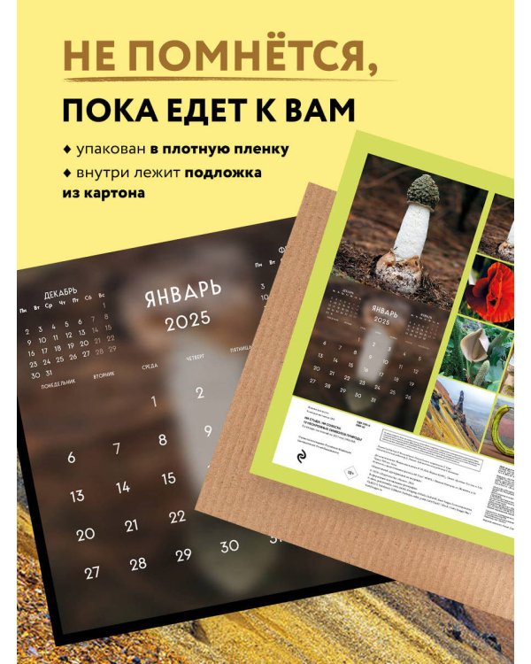 Ни стыда, ни совести. 12 нескромных символов природы. Календарь настенный на 2025 год (300х300 мм)