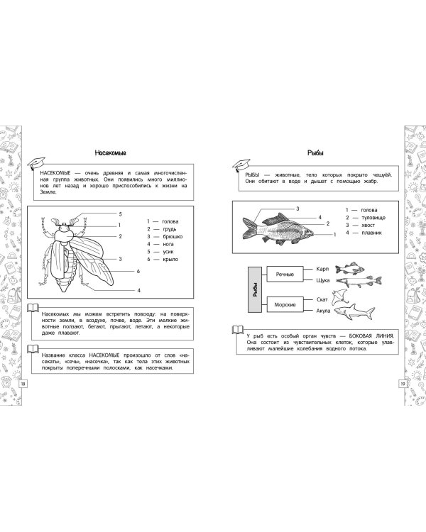Окружающий мир в схемах, таблицах, рисунках