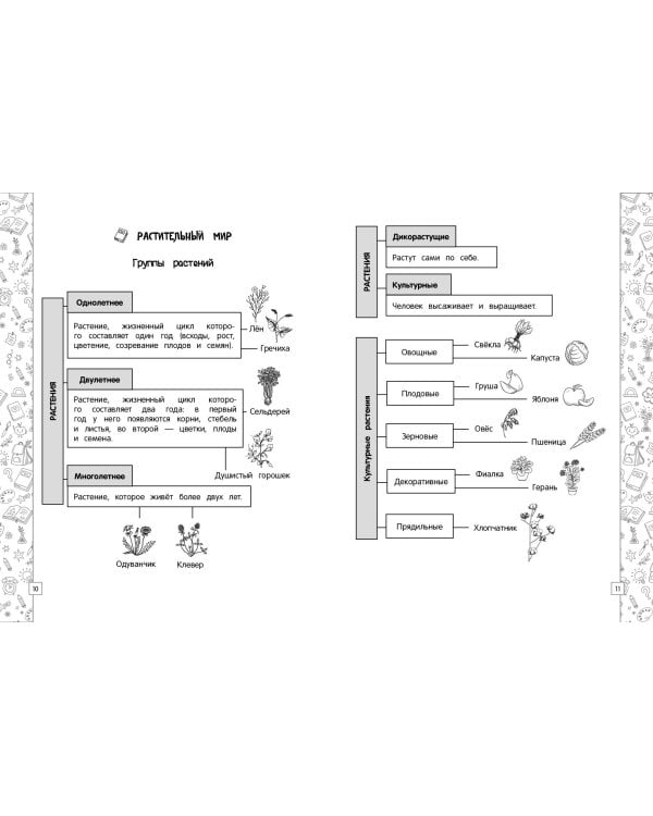 Окружающий мир в схемах, таблицах, рисунках