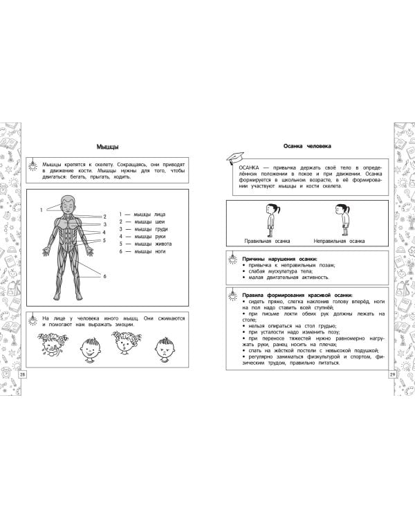 Окружающий мир в схемах, таблицах, рисунках