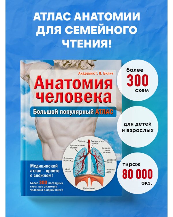Анатомия человека: большой популярный атлас