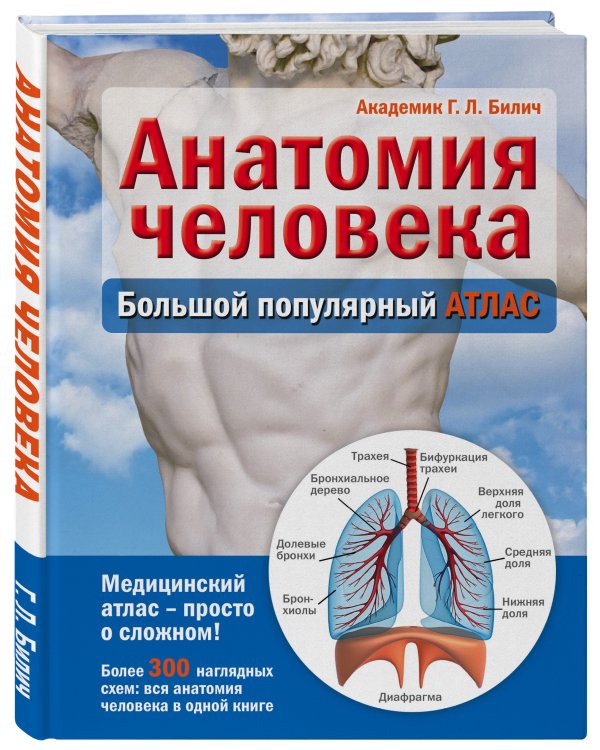 Анатомия человека: большой популярный атлас