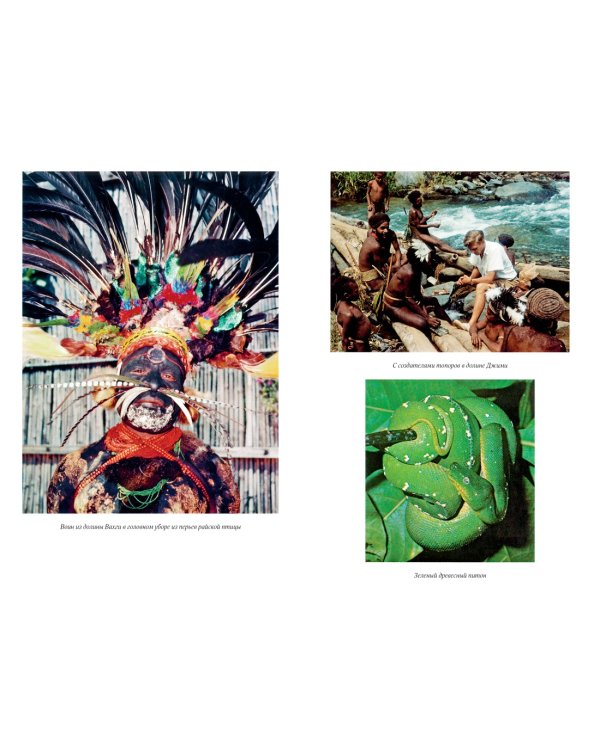 Путешествия на другую сторону света