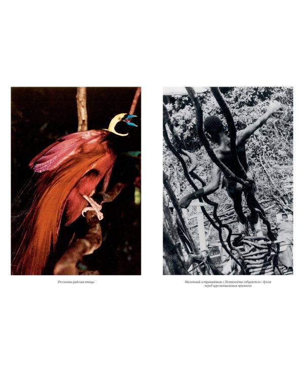 Путешествия на другую сторону света